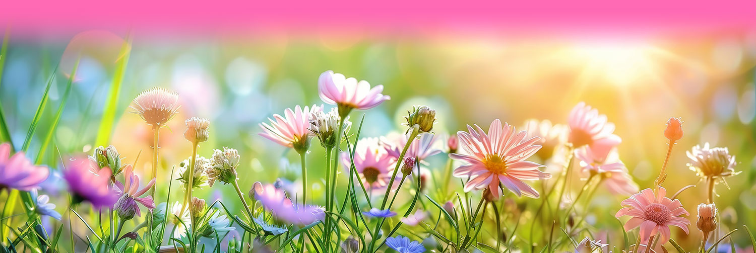 Rental House In Kingman, Arizona